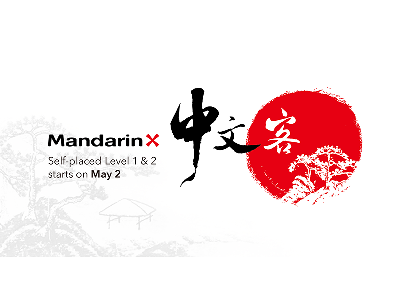 An advertisement for MandarinX Chinese courses